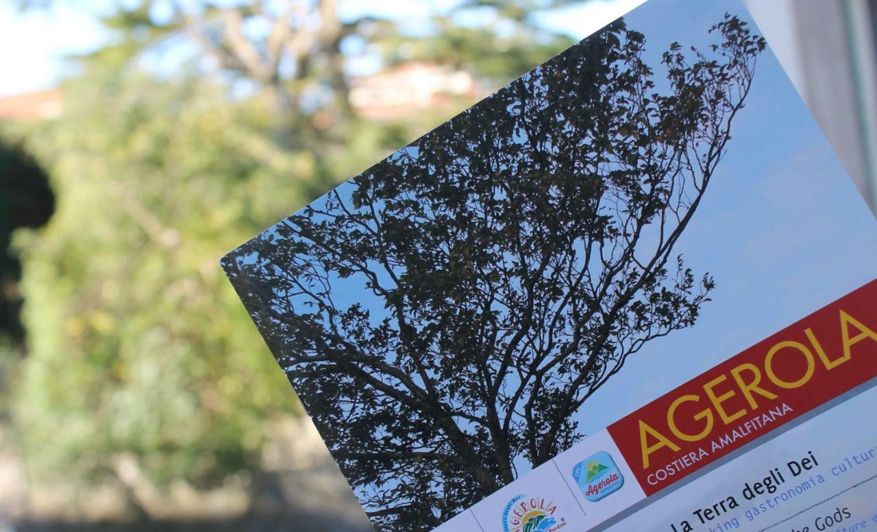 Gli Artisti - Ospitalità Diffusa Agerola Exterior foto